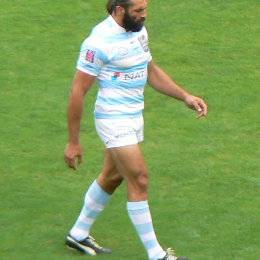 Photo de profil de Sébastien Chabal