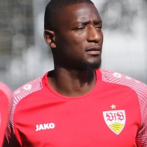 Photo de profil de Serhou Guirassy