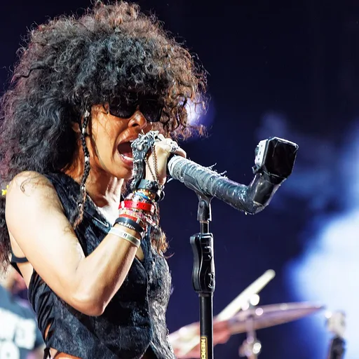 Photo de profil de Shaka Ponk