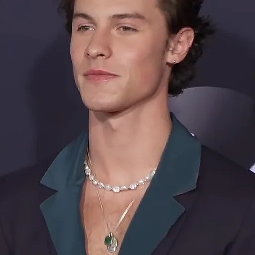 Photo de profil de Shawn Mendes