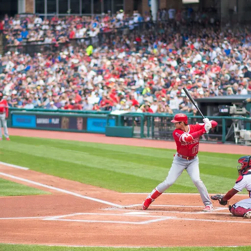 Photo de profil de Shohei Ohtani