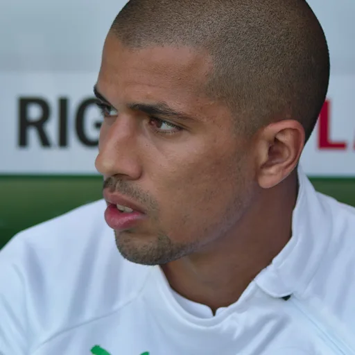 Photo de profil de Sofiane Feghouli