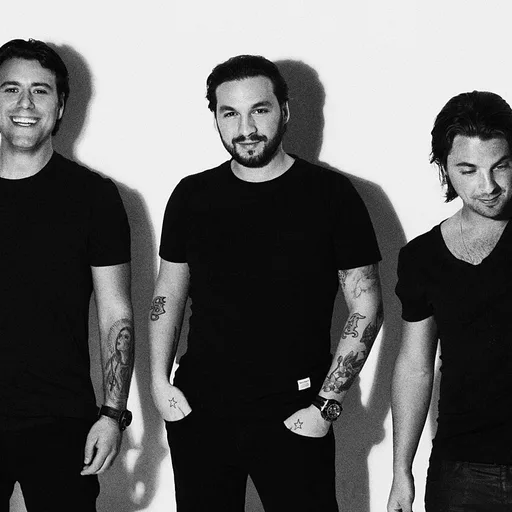 Photo de profil de Swedish House Mafia