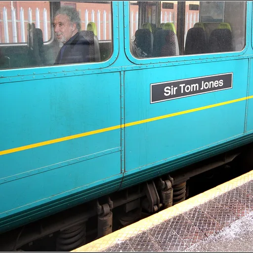 Photo de profil de Tom Jones