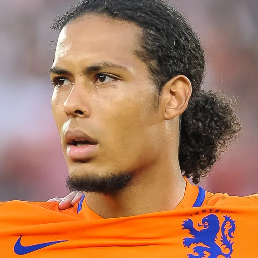 Photo de profil de Virgil van Dijk