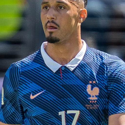 Photo de profil de William Saliba