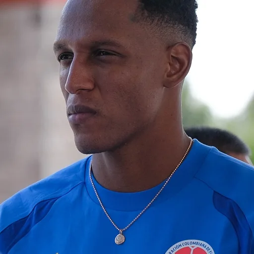 Photo de profil de Yerry Mina