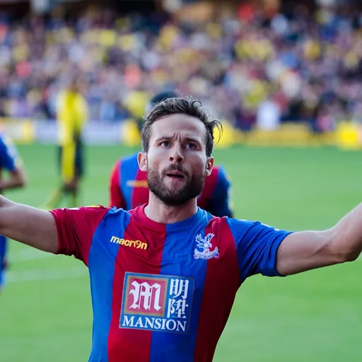 Photo de profil de Yohan Cabaye